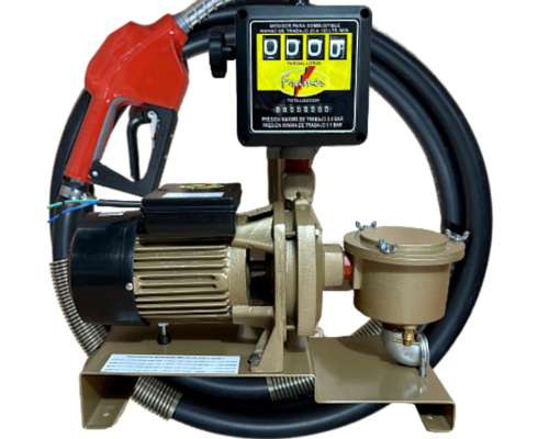 Bomba Trasvase Centrífuga Combustible Framer 220v