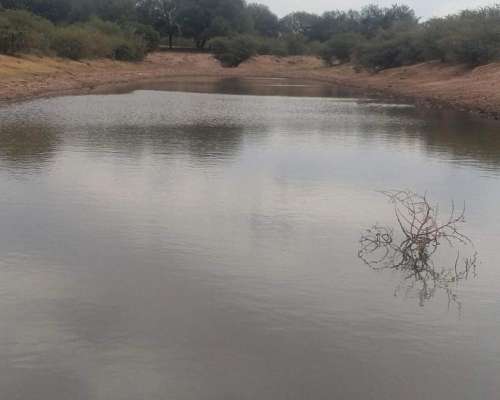 Milagro (LA Rioja) 6.000 Has Ganaderas .