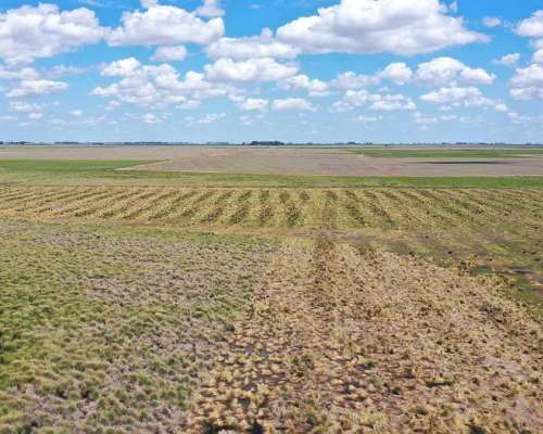 Pcia. de Buenos Aires - Cañada Seca 844 Has