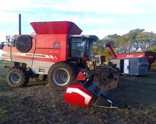 Cosechadora Massey Ferguson 9895