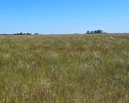 165 Ha Teniente Origone, Buenos Aires