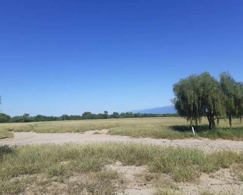 Campo Agricola Ganadero Ferlot en Catamarca