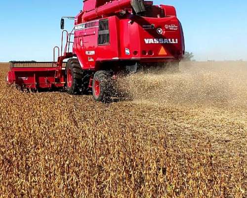 Vassalli 7500 Lider Impecable