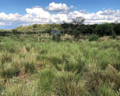 Alquiler Campo Mixto de 417 Ha a 70 km de Merlo.
