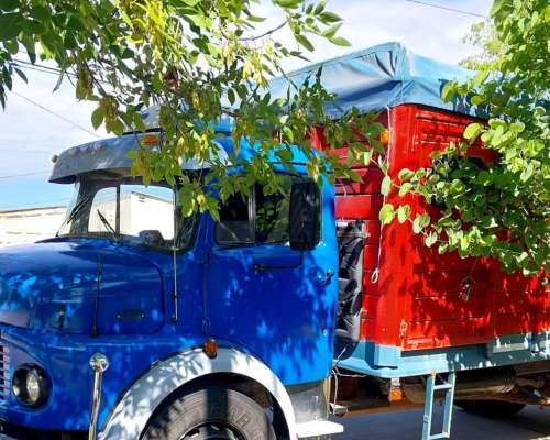 1114 1518 Mercedes Benz