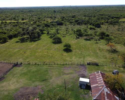 594 Has muy Buen Campo Ganadero en Venta Dpto. Federal