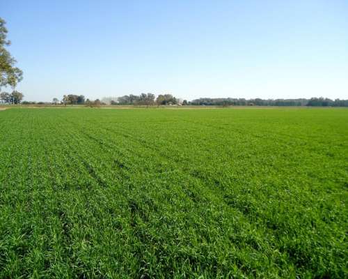 Campo Mercedes - Producción y Turismo