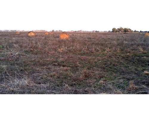 Campo en Venta en Punta Indio - 93 Hectáreas Sobre Ruta