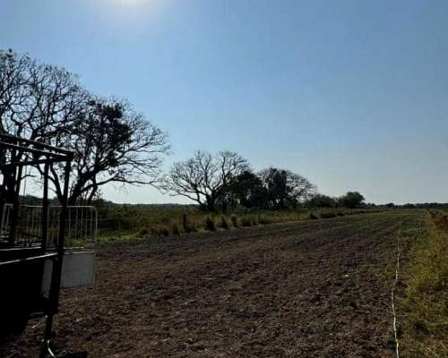 Vende Establecimiento Completo - las Palmas Chaco