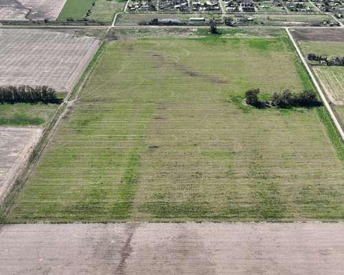 Mariano Benitez, Pergamino, Buenos Aires - 46 Ha