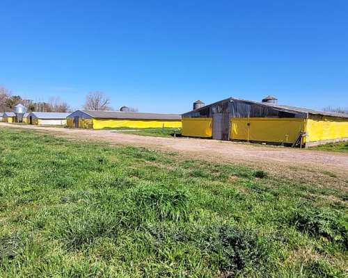 Granja en Venta Sobre la Ruta