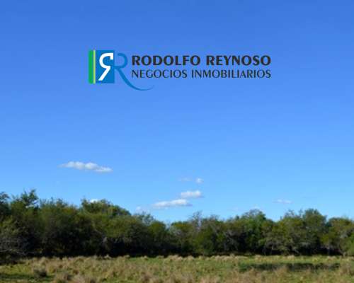 22 HA. en Villa Elisa - Entre Ríos