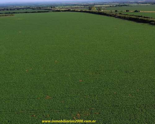 Córdoba Sarmiento 118 Has Agr+icolas Campaso