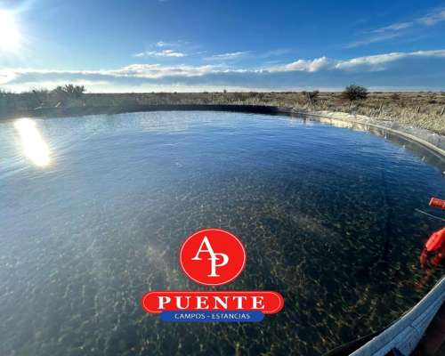 En Venta 2500 Hectáreas, la Pastoril, la Pampa