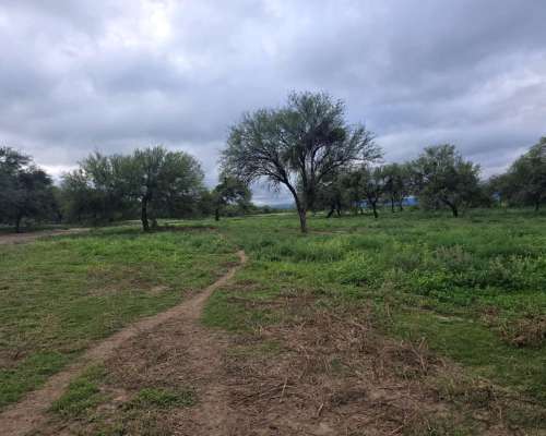 2300 Ha Ganaderas en Quines