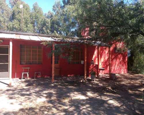 Urgente, VTA.84 Has. Médanos, Villarino, C/ Casa Amplia