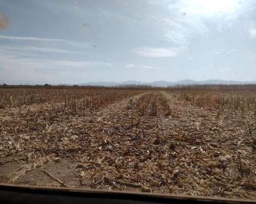 Venta de Hectareas en el Galpon Salta