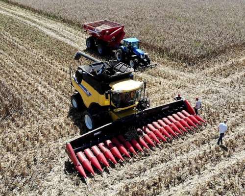 Cabezal Maicero cm 2020 de 20 Surc a 52 con Embocador, con P
