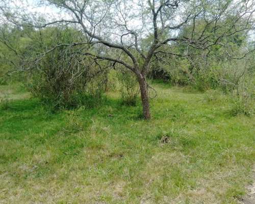Arrendamiento Alquiler Campo Ganadero