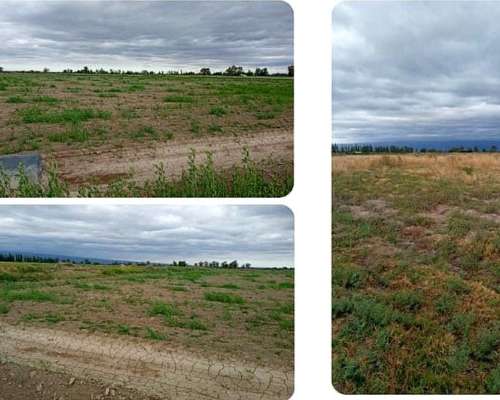 Arrendamiento Agrícola 21 Has con Derecho de Riego – 25 de M