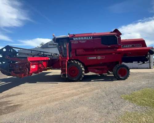 Vassalli 1550 año 2009