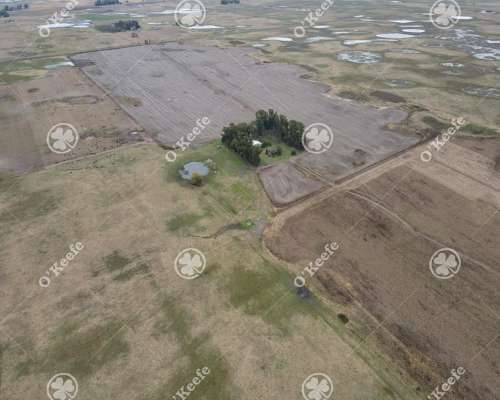 Campo en Venta de 324 Has en General Alvear. Mixto