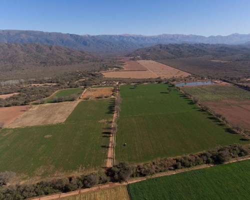 Pcia. de Salta - Talapampa 130 Has