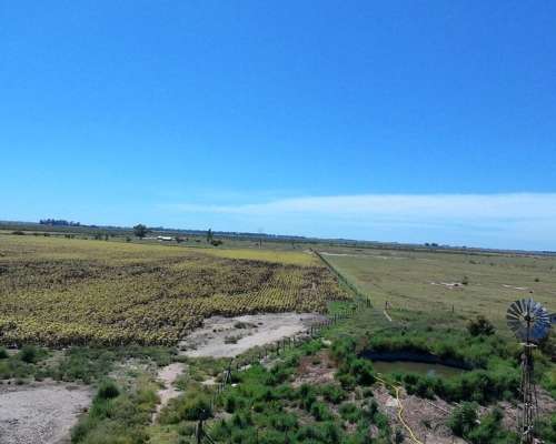 Se Vende Campo Mixto - Zona de Laboulaye