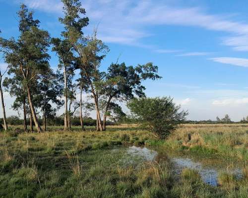 Chacra en Guaviravi Provincia de Corrientes