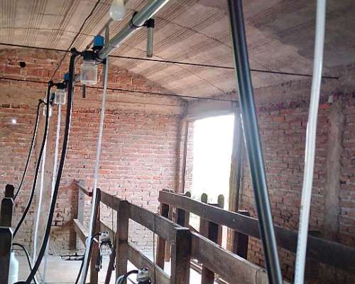 Ordeñadora Rodeg 4 Bajadas