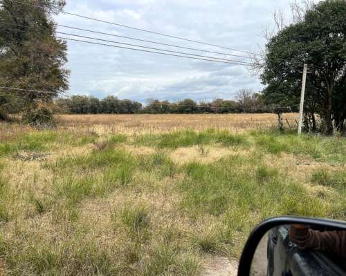 Campo para Vacas y Siembra de Asfalfa 1400 Hectáreas Mil DOL