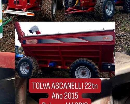 Tolva Ascanelli Magnum- 22 TN - año 2015