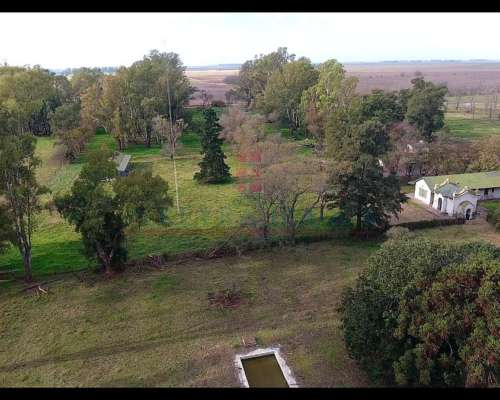 6902ha Campo Mixto en Venta en Lincoln, Pcia. de BS AS.