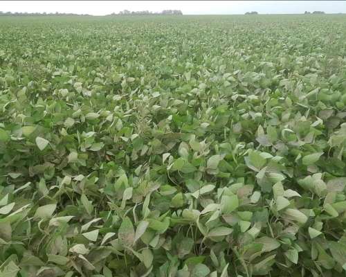 Inmobiliaria Pousa Pousa Vende