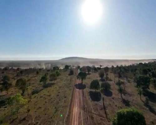 Campo Ganadero - Laprida - Santiago del Estero.-