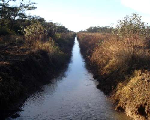 Alquilo Campo Ganadero .
