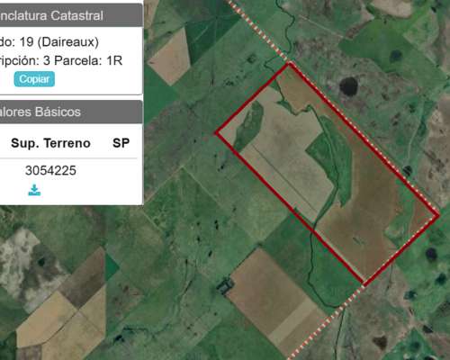 Campo en Daireaux - Buenos Aires