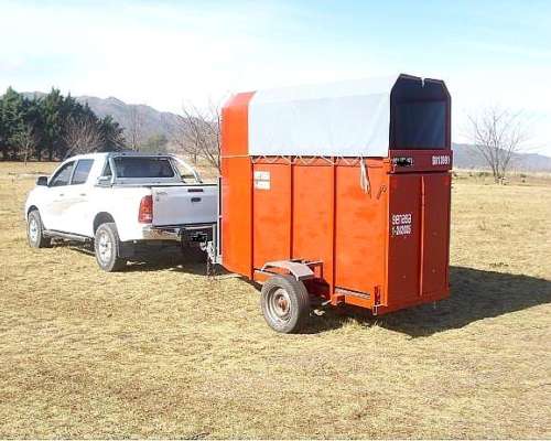 Flete Traslado de Caballos en Cordoba