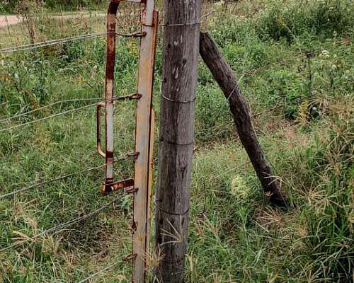 111 Hectáreas, Agricolas, los Zorros