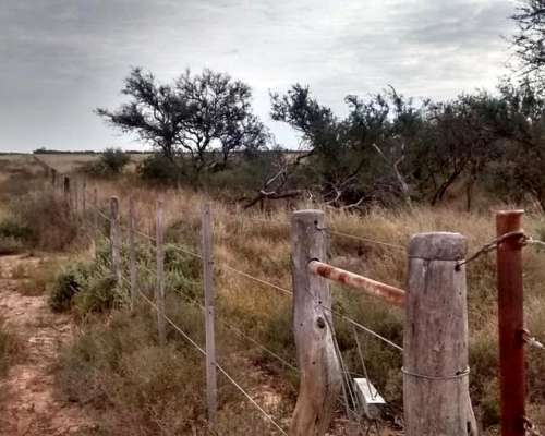 Casnem Inmobiliaria Vende Campo de 9630 HS. con Escritura