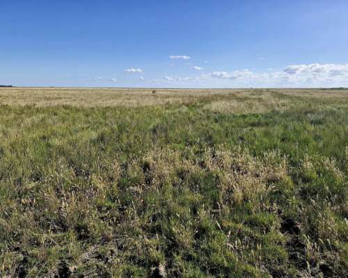 Paraje Pavón, General Lavalle, Buenos Aires - 4.784 Ha