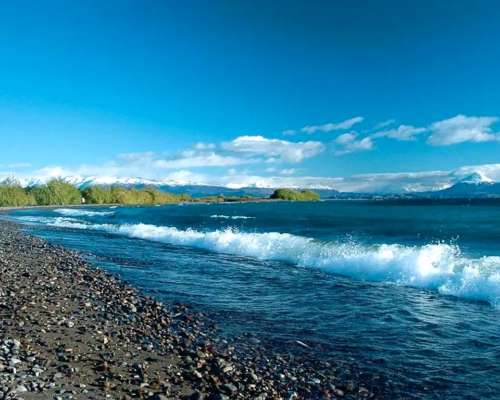 Venta de 8.900 Has. Santa Cruz - Perito Moreno - Patagonia