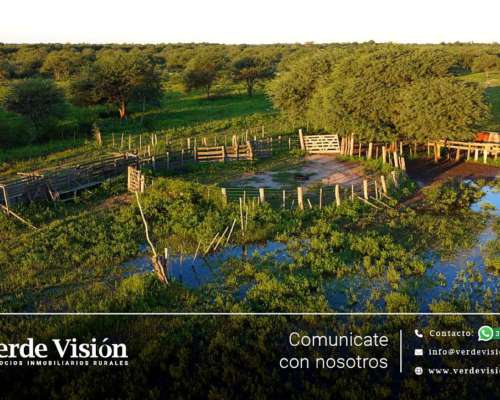 Campo Ganadero de 73 Has en Venta - Chaco Villa Berthet