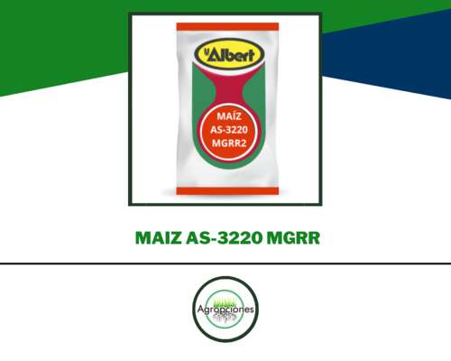 Semilla de Maiz AS-3220 Mgrr
