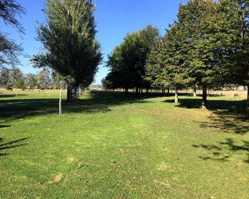 General las Heras, Buenos Aires - 36 Ha