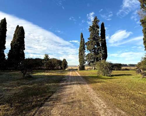 Campo de 10 Hectáreas