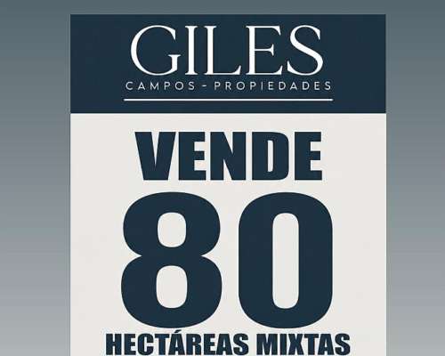 80 Hectáreas Mixtas el Paraíso