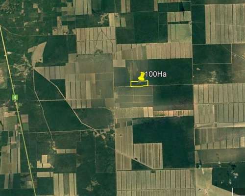 100 Ha Nueva Esperanza