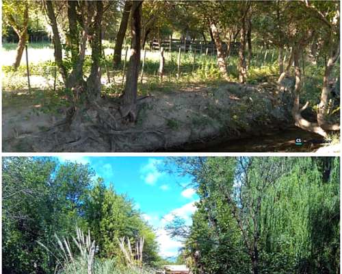Venta de Campo Mixto con Casa 70 Hectáreas Canal de Riego