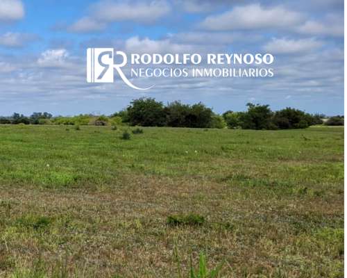 Lote de 1.14 Hectárea – Dpto. Colón (er)